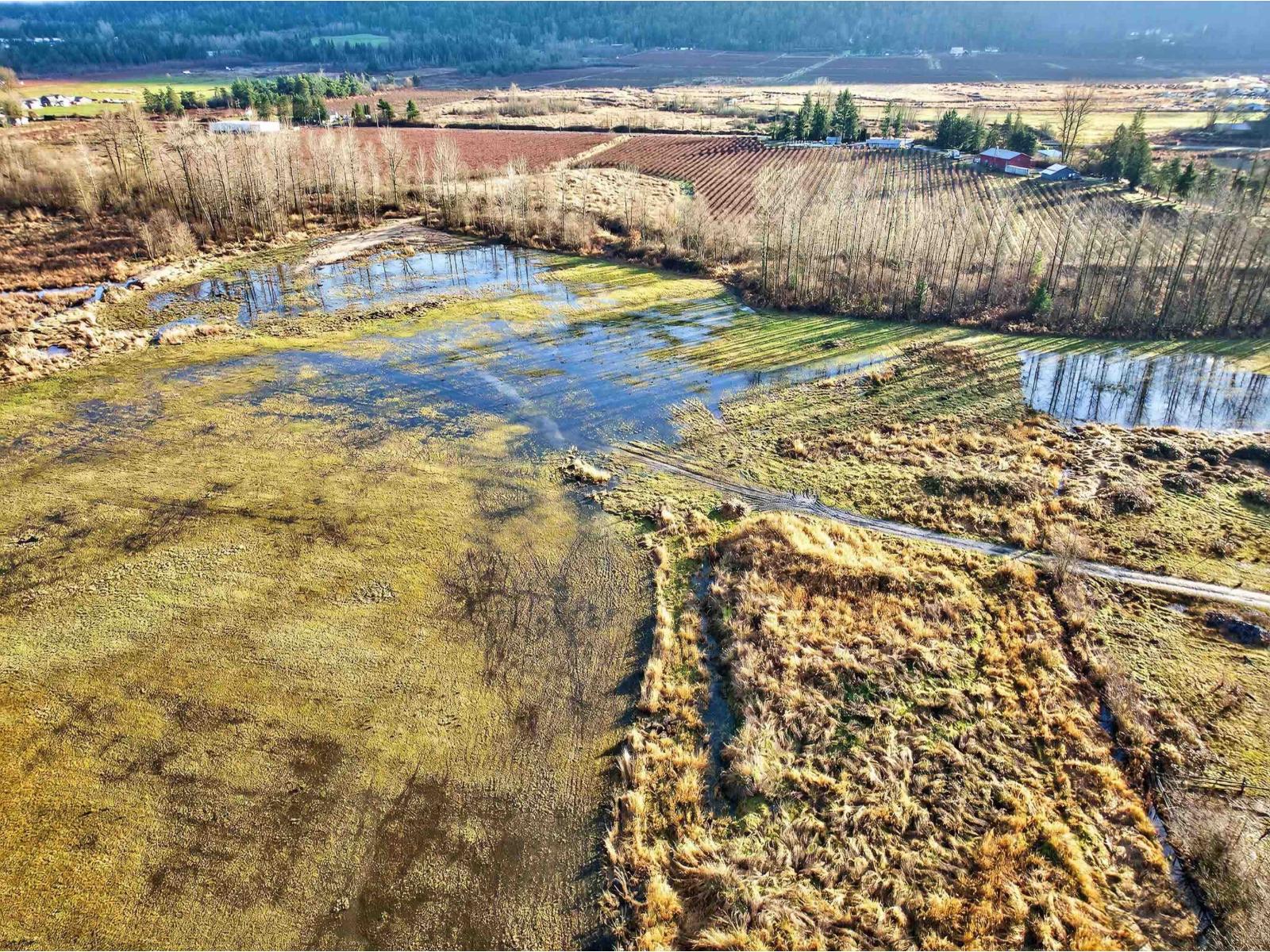 34995 Dale Road, Mission, British Columbia  V2V 0B7 - Photo 25 - R3087766