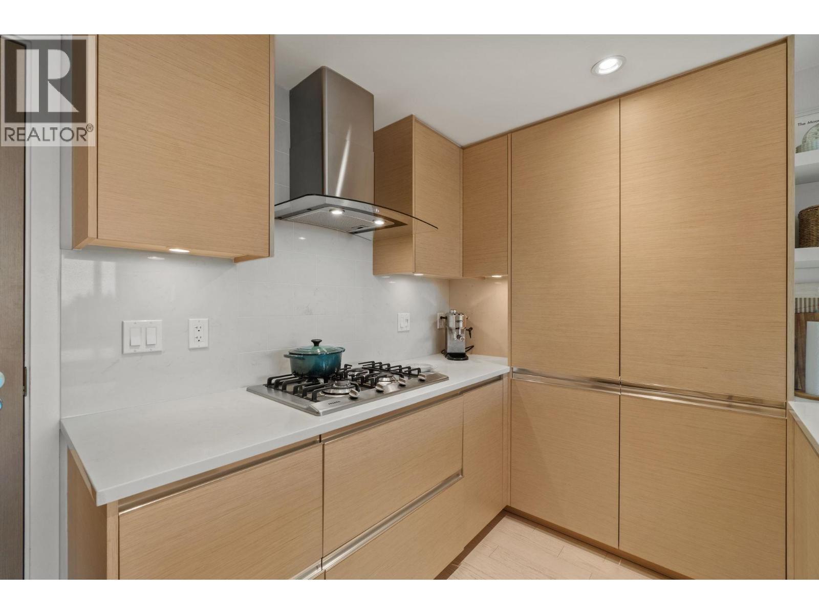 306 505 W 30th Avenue, Vancouver, British Columbia  V5Z 0G4 - Photo 6 - R3089226