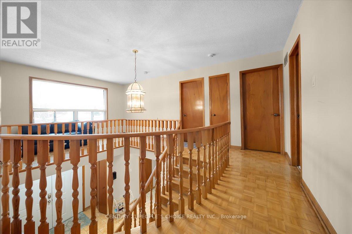 3431 Dorcas Street, Mississauga, Ontario  L4T 1M9 - Photo 24 - W12781576