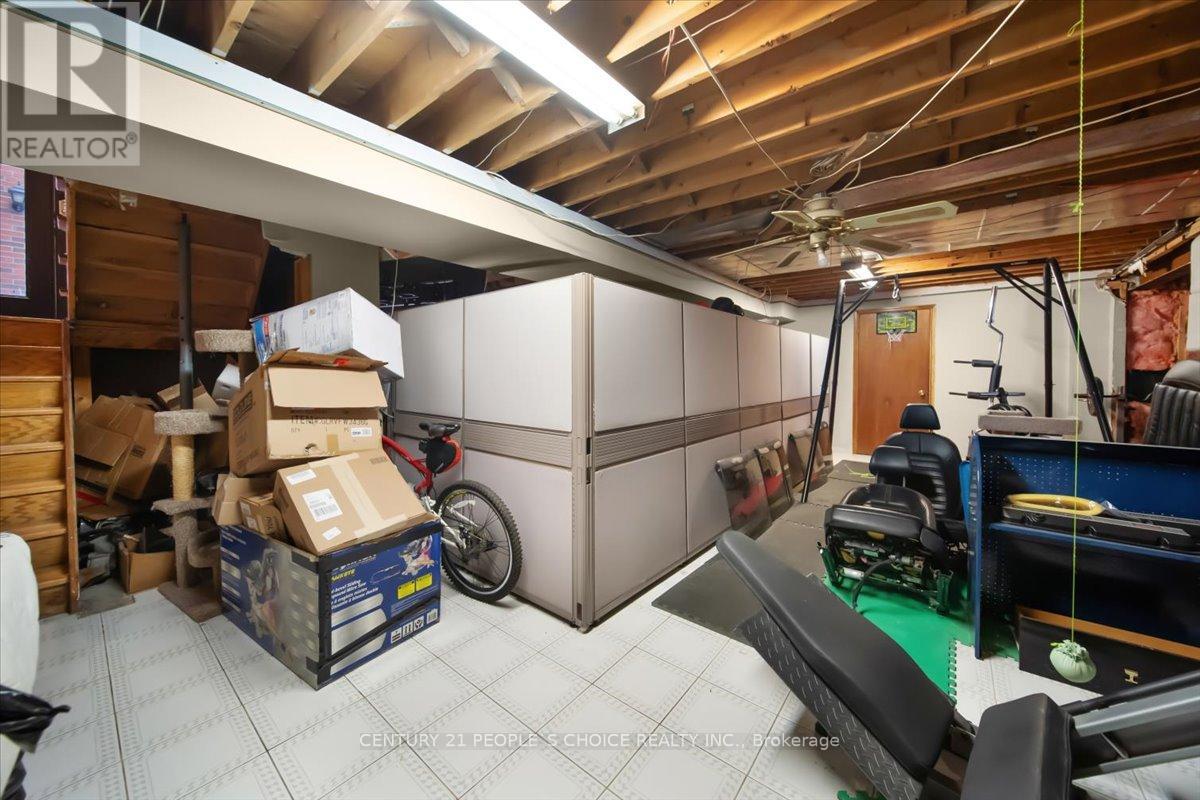 3431 Dorcas Street, Mississauga, Ontario  L4T 1M9 - Photo 43 - W12781576