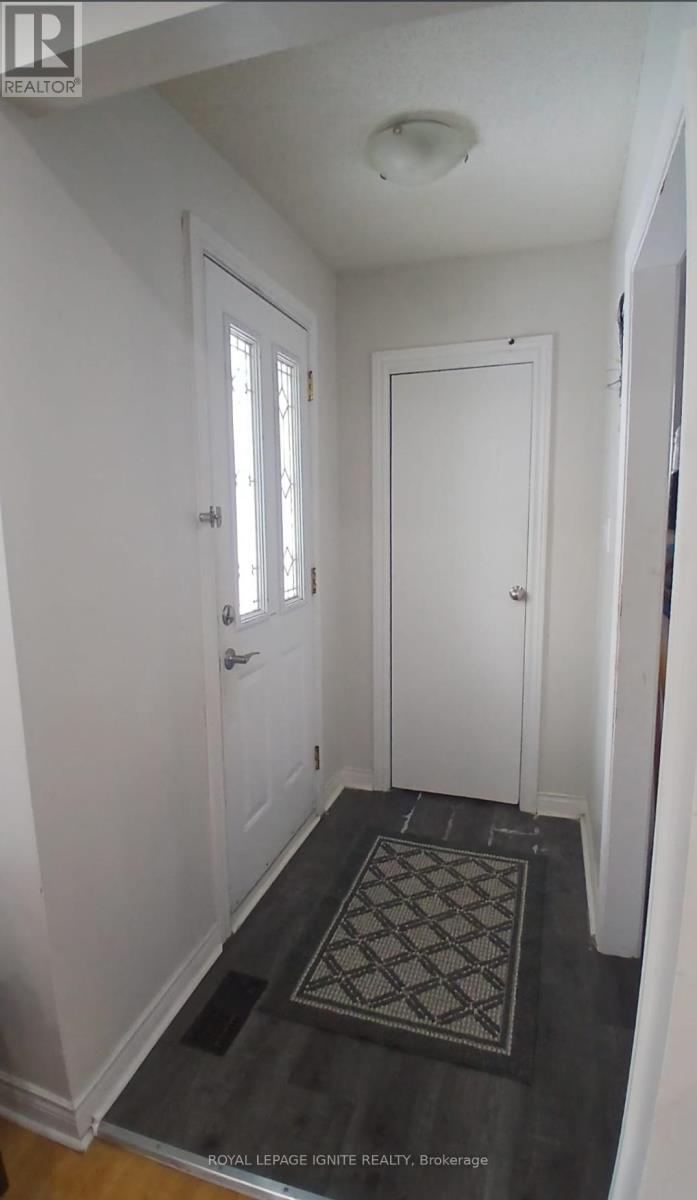 Main - 21 Humheller Road, Toronto, Ontario  M9W 5K2 - Photo 2 - W12781676