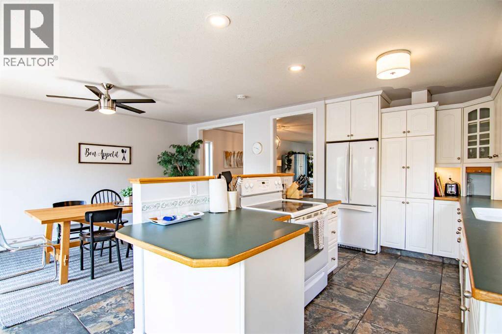 5008 41 Street, Sylvan Lake, Alberta  T4S 1B9 - Photo 12 - A2285838