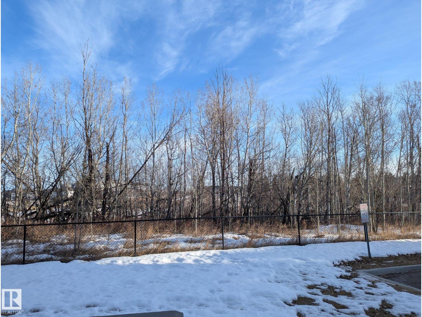 #319 1144 Adamson Dr Sw, Edmonton, Alberta T6W 2X7 - Photo 29 - E4473192