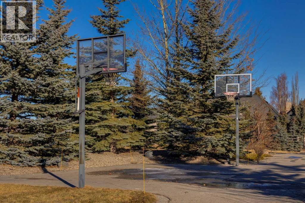 15 Villosa Ridge Point, Rural Rocky View County, Alberta  T3Z 1H3 - Photo 47 - A2284965