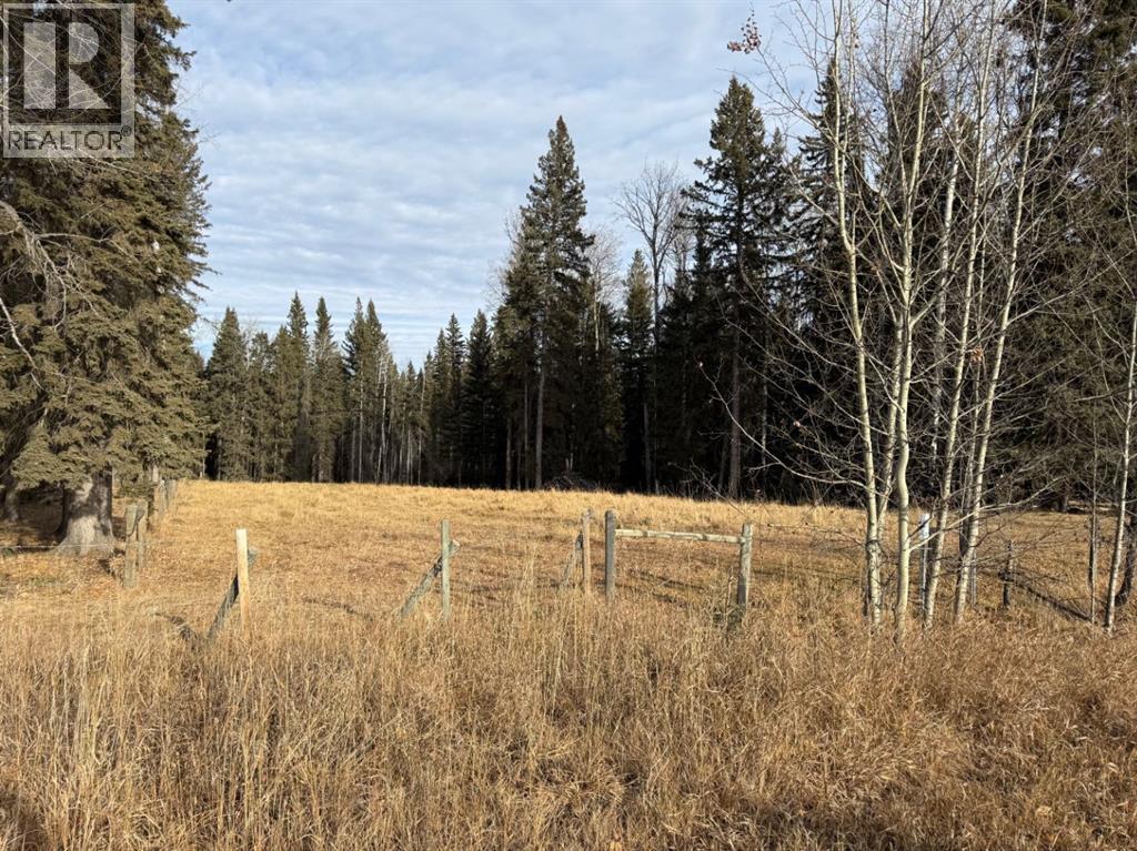 39-3 Township Road, Rural Clearwater County, Alberta  T0M 0C0 - Photo 2 - A2270523