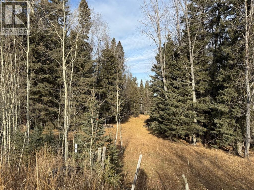 39-3 Township Road, Rural Clearwater County, Alberta  T0M 0C0 - Photo 1 - A2270523