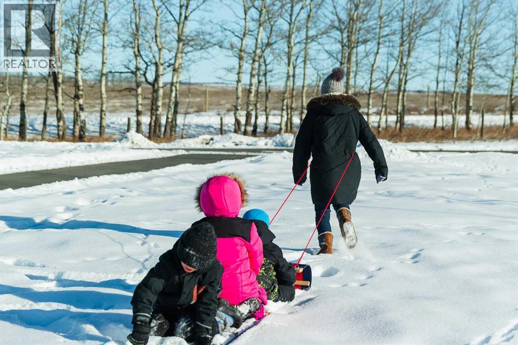 81 Albright Drive, Rural Rocky View County, Alberta  T3Z 0E1 - Photo 14 - A2283823