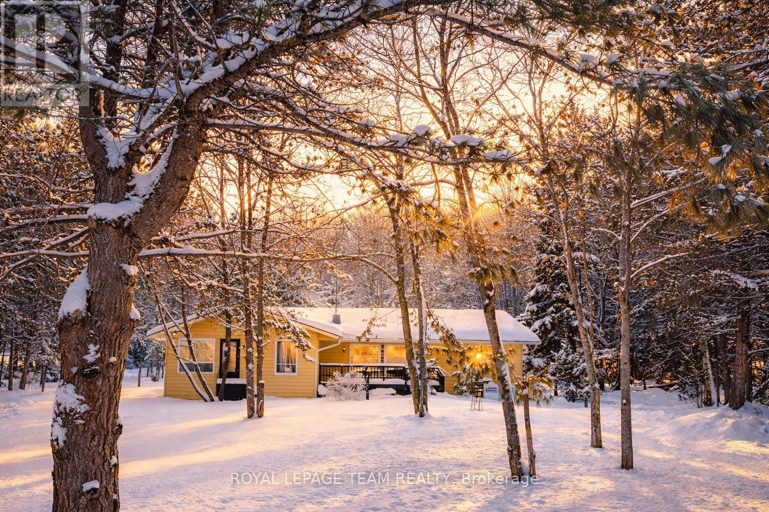 4 MURCHISON ROAD, South Algonquin, Ontario