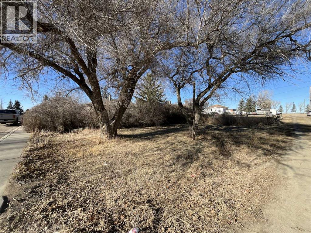 501 Main Street, Burdett, Alberta  T0K 0J0 - Photo 24 - A2285860