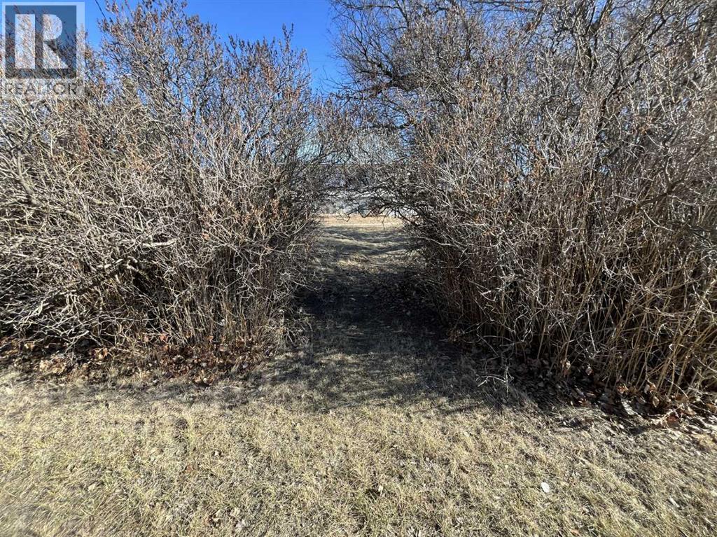 501 Main Street, Burdett, Alberta  T0K 0J0 - Photo 25 - A2285860