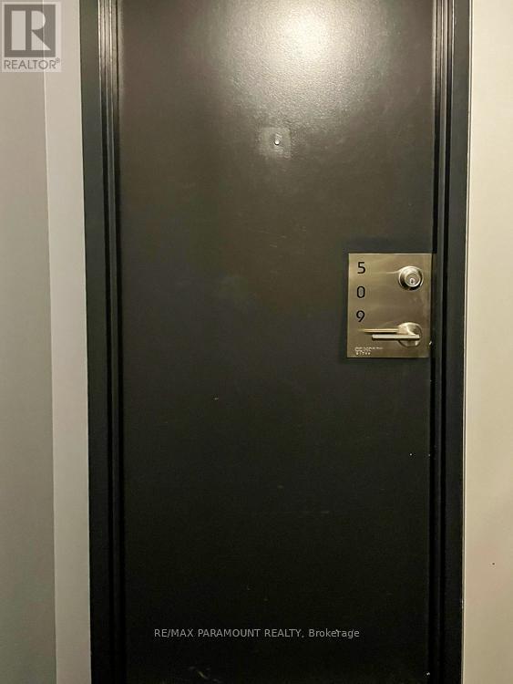 509 - 11 Brunel Court, Toronto, Ontario  M5V 3Y3 - Photo 5 - C12781824