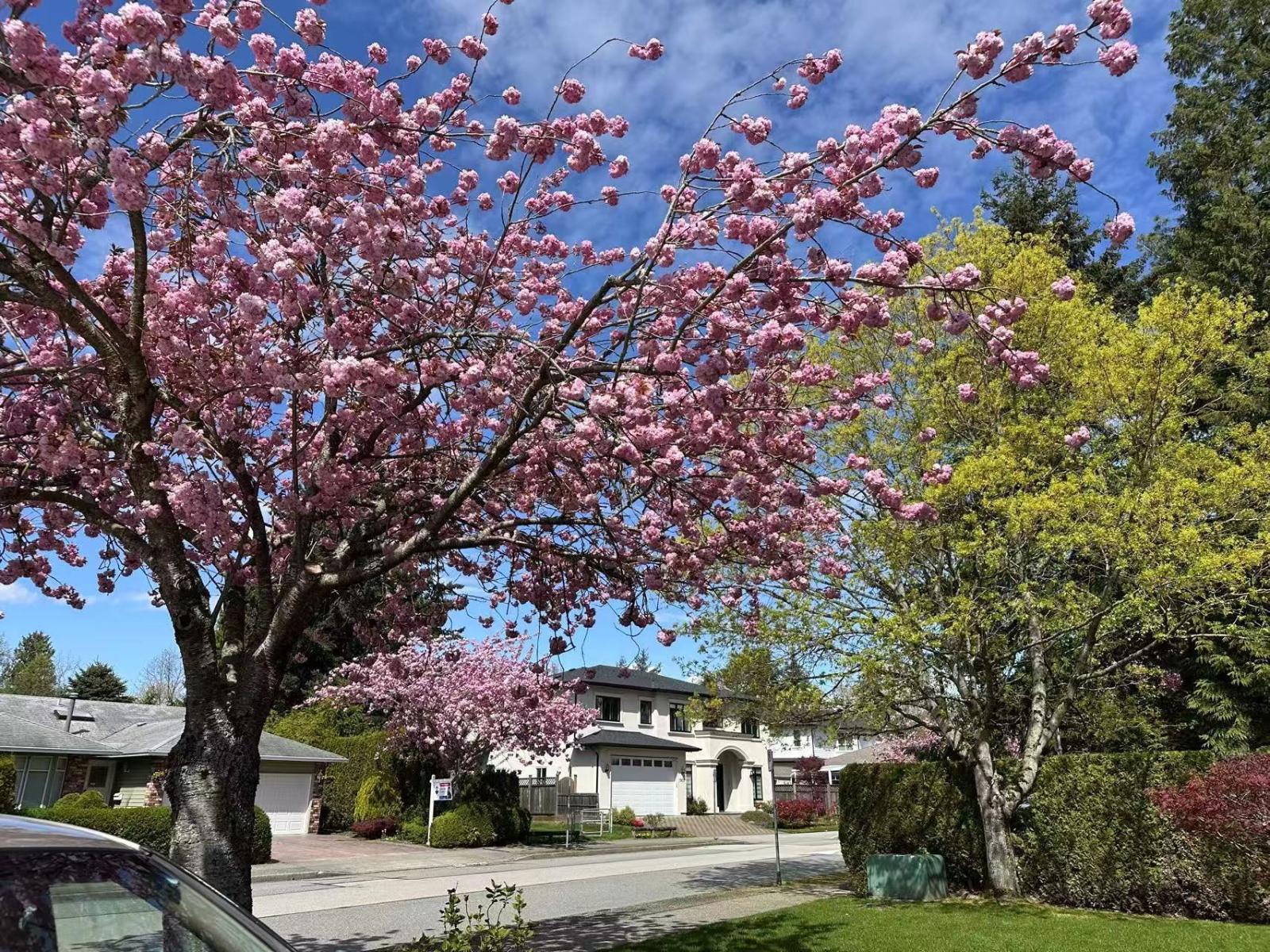 1898 Southmere Crescent, Surrey, British Columbia  V4A 6W9 - Photo 40 - R3088982