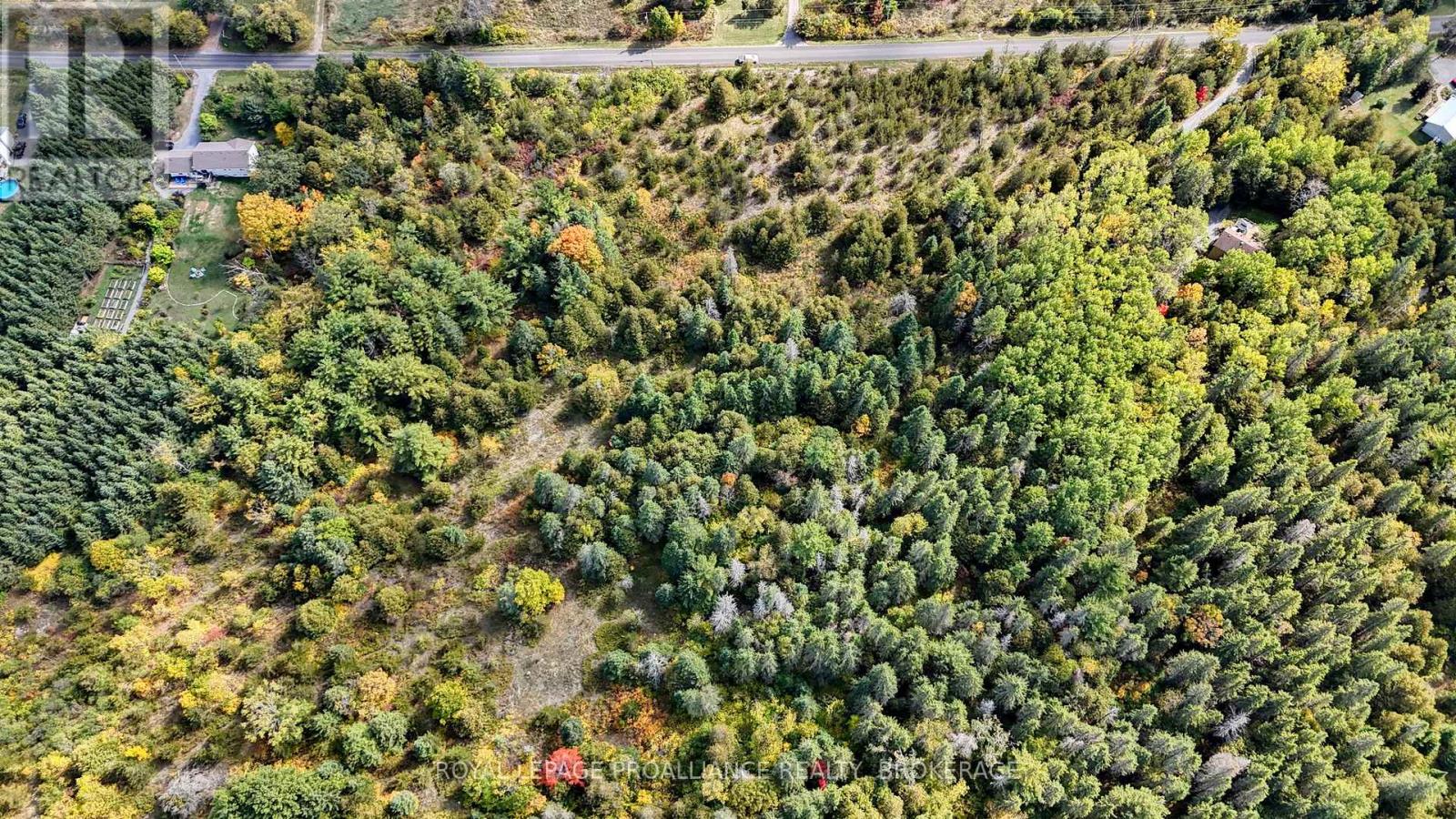 Pt Lt 40 Cutler Road, Stone Mills, Ontario  K0K 3N0 - Photo 10 - X12781976