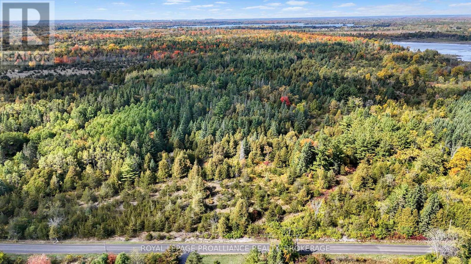 Pt Lt 40 Cutler Road, Stone Mills, Ontario  K0K 3N0 - Photo 11 - X12781976