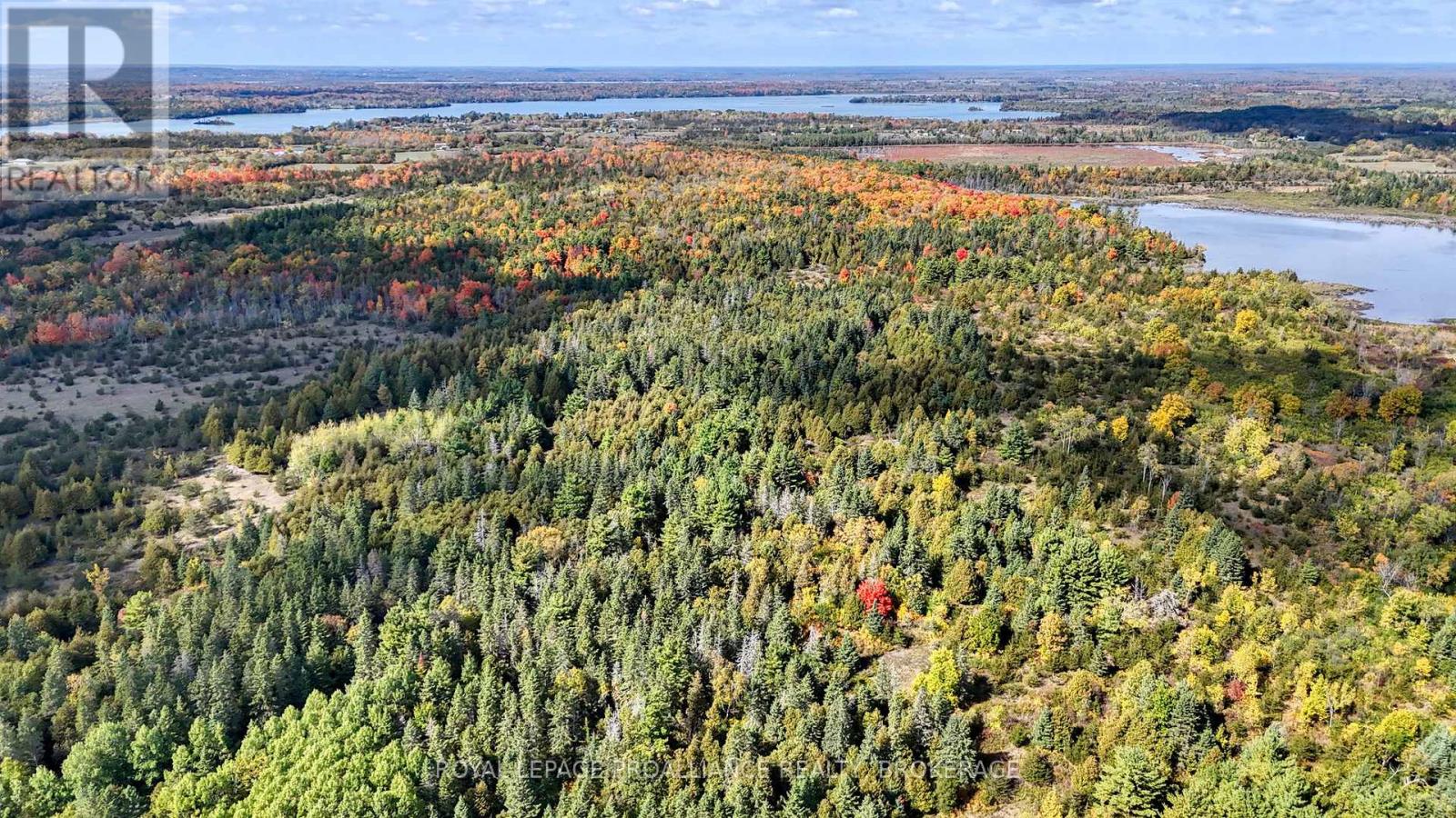 Pt Lt 40 Cutler Road, Stone Mills, Ontario  K0K 3N0 - Photo 5 - X12781976