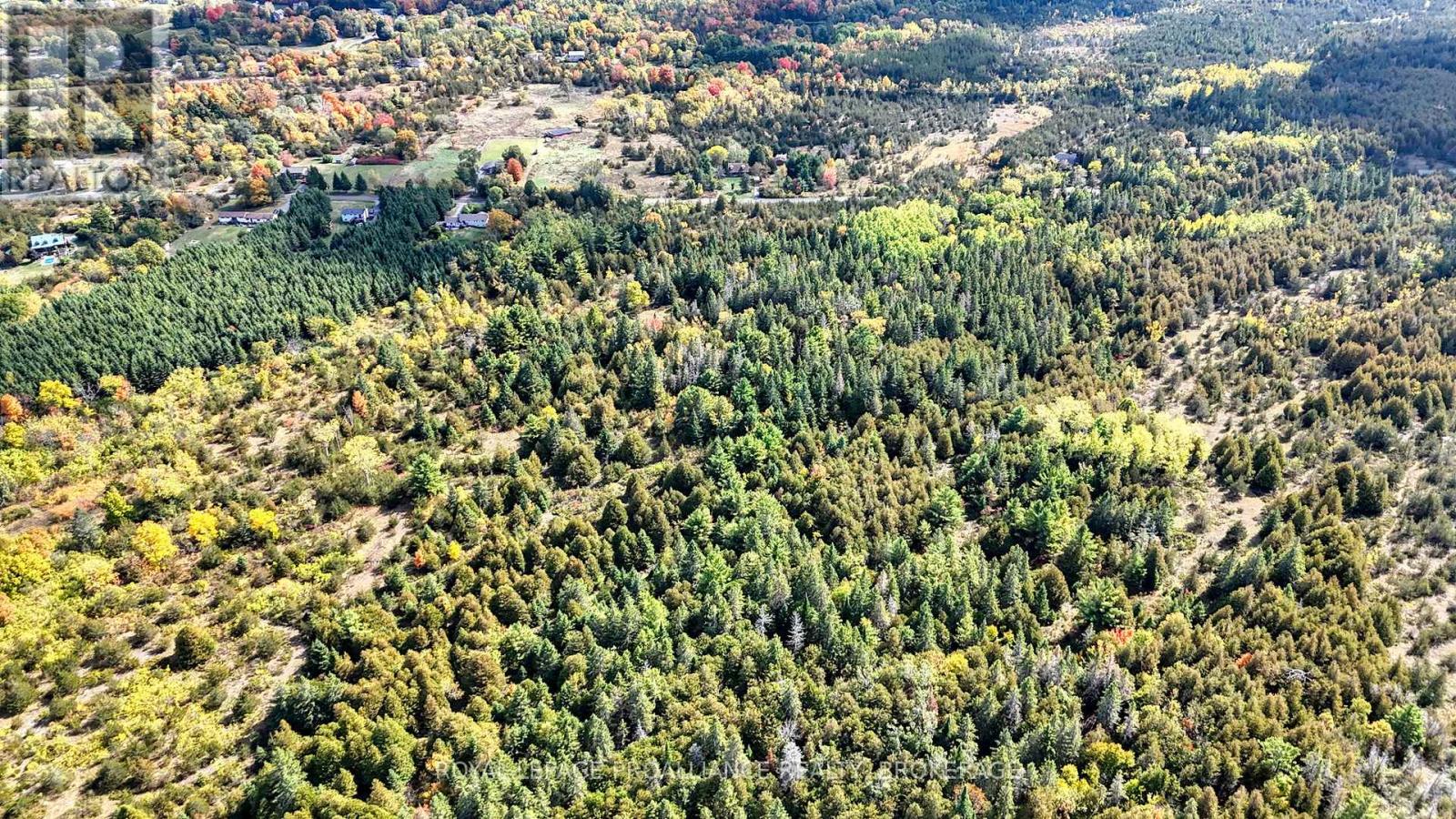 Pt Lt 40 Cutler Road, Stone Mills, Ontario  K0K 3N0 - Photo 7 - X12781976