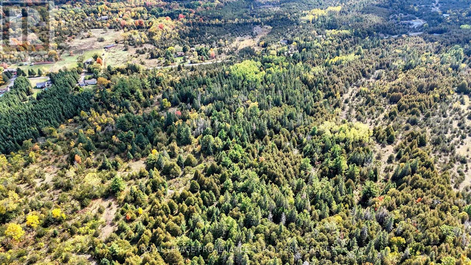 Pt Lt 40 Cutler Road, Stone Mills, Ontario  K0K 3N0 - Photo 8 - X12781976