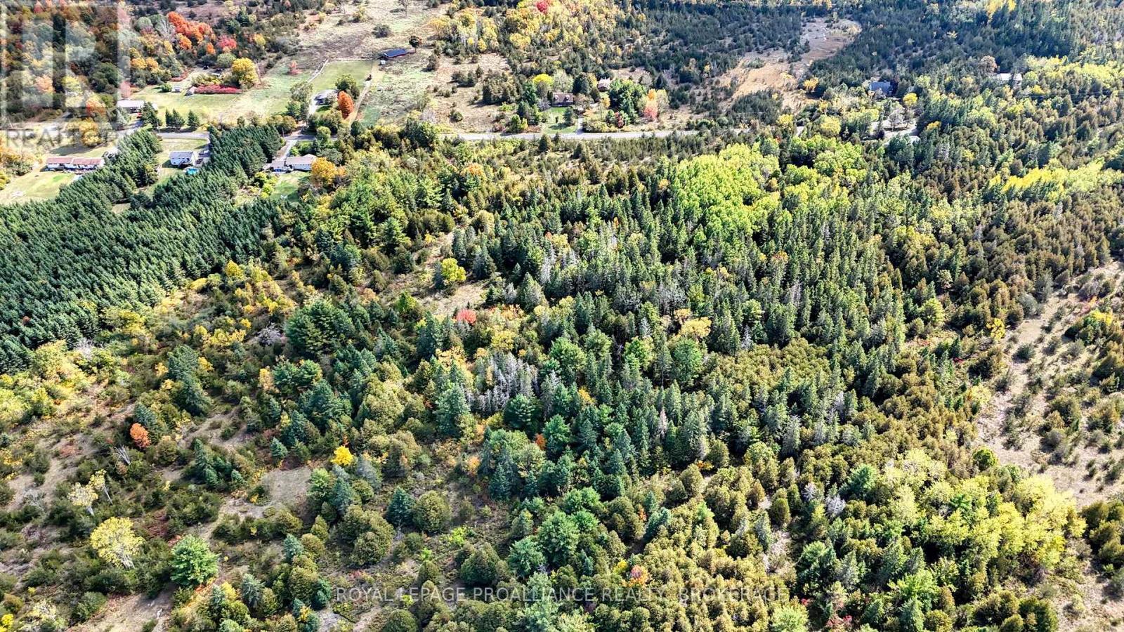 Pt Lt 40 Cutler Road, Stone Mills, Ontario  K0K 3N0 - Photo 9 - X12781976