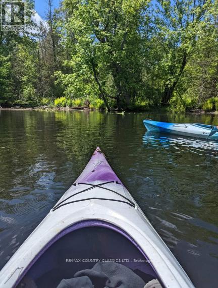 21259 Hwy 62 Highway S, Tudor And Cashel (Tudor Ward), Ontario  K0L 1W0 - Photo 36 - X12781952