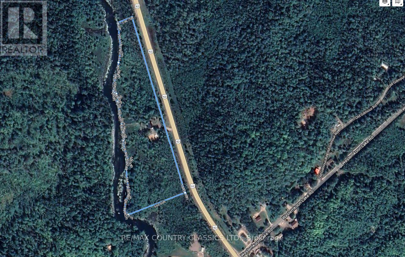 21259 Hwy 62 Highway S, Tudor And Cashel (Tudor Ward), Ontario  K0L 1W0 - Photo 38 - X12781952