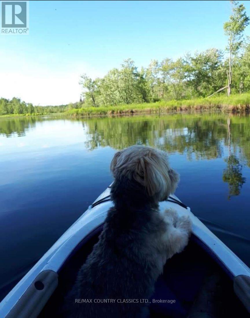 21259 Hwy 62 Highway S, Tudor And Cashel (Tudor Ward), Ontario  K0L 1W0 - Photo 39 - X12781952