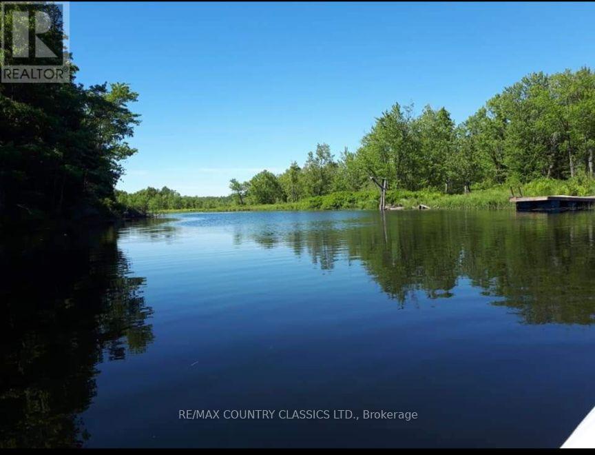 21259 Hwy 62 Highway S, Tudor And Cashel (Tudor Ward), Ontario  K0L 1W0 - Photo 41 - X12781952