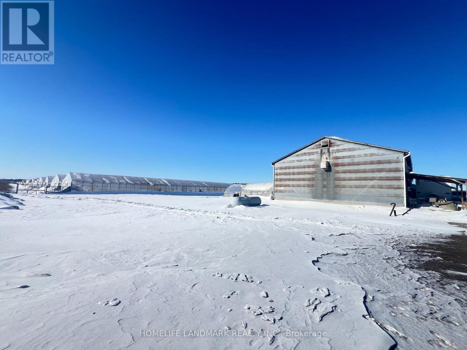 110 Aileen Avenue, King, Ontario  L3Y 4V9 - Photo 10 - N12781950