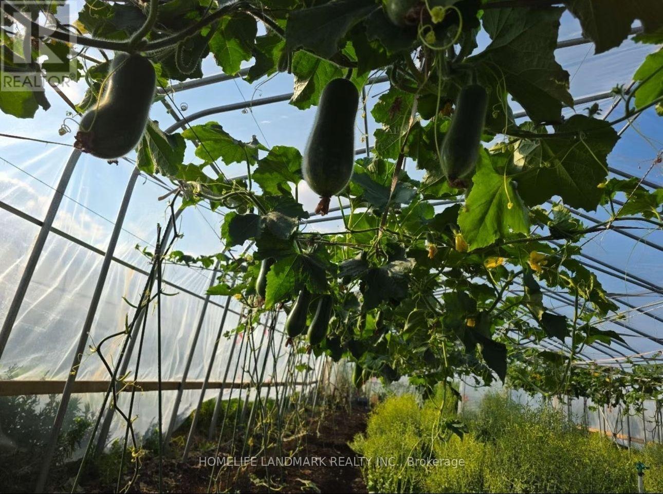 110 Aileen Avenue, King, Ontario  L3Y 4V9 - Photo 11 - N12781950