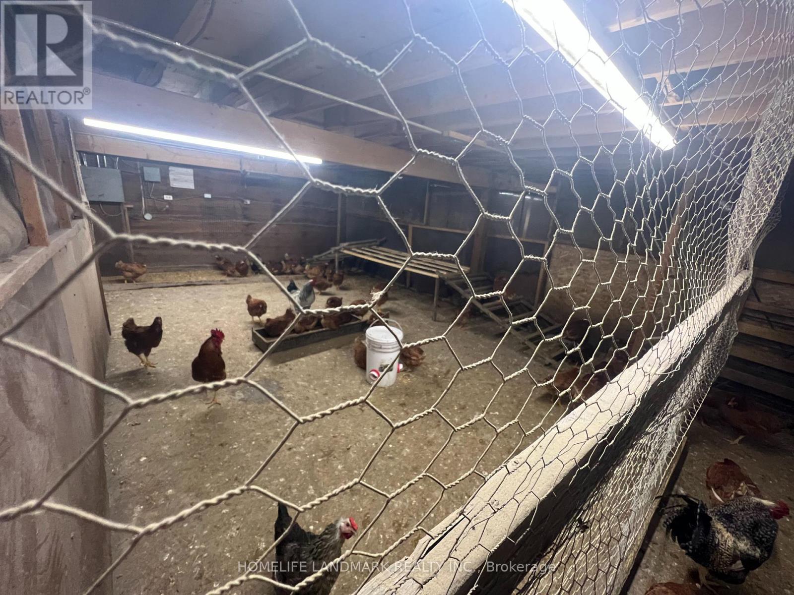 110 Aileen Avenue, King, Ontario  L3Y 4V9 - Photo 19 - N12781950