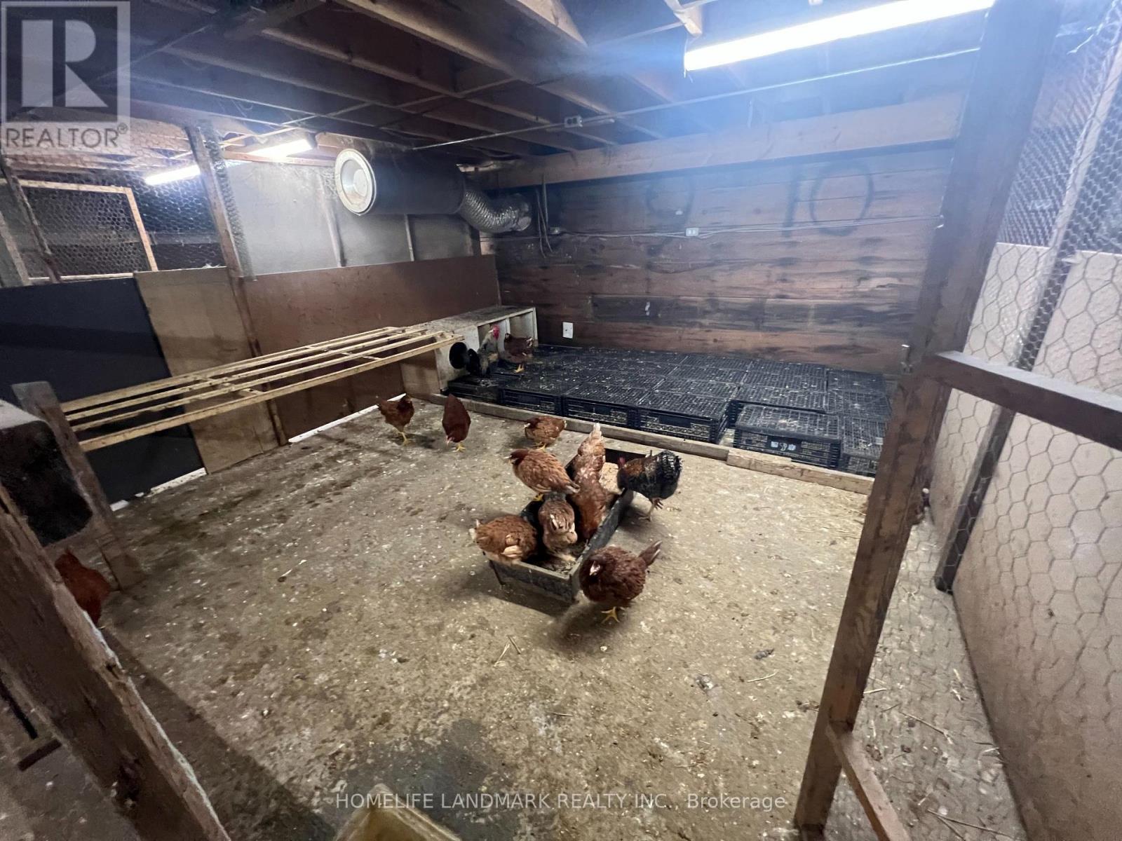 110 Aileen Avenue, King, Ontario  L3Y 4V9 - Photo 20 - N12781950