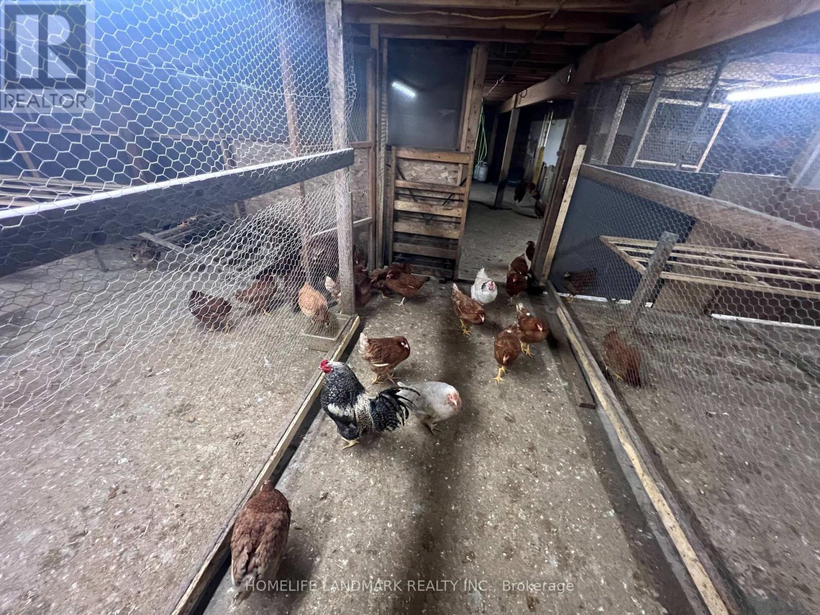 110 Aileen Avenue, King, Ontario  L3Y 4V9 - Photo 21 - N12781950