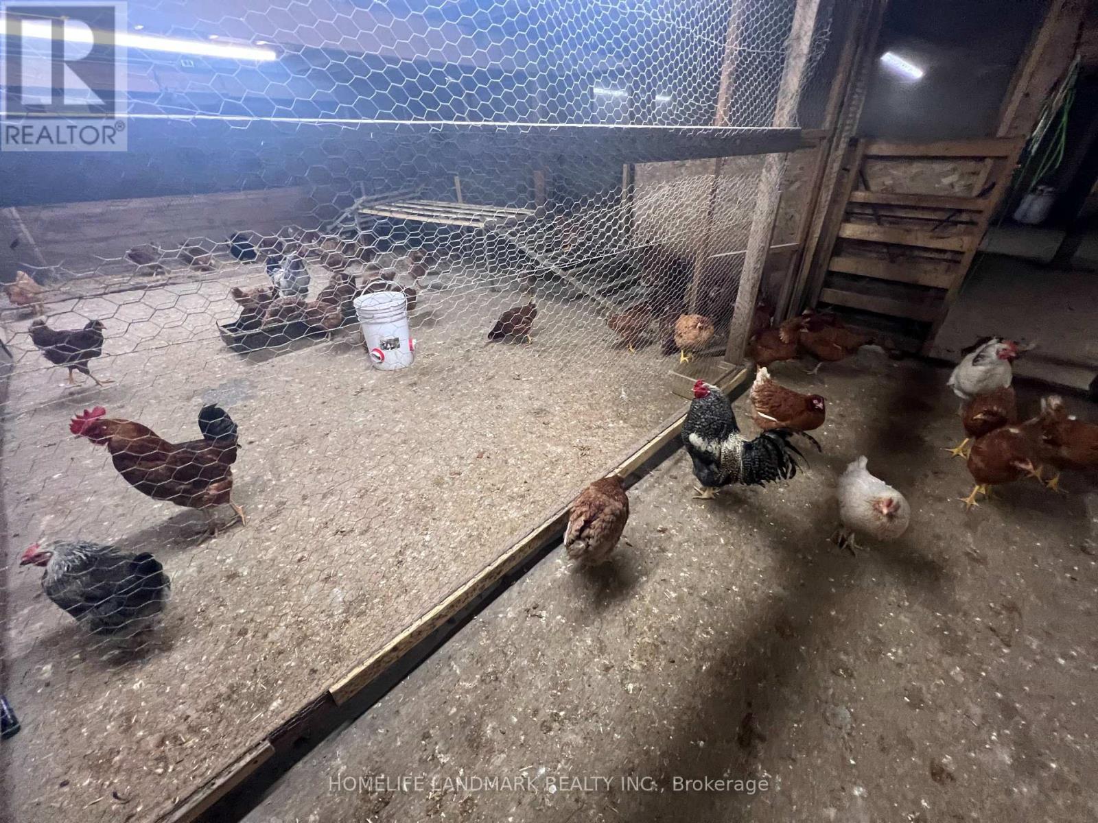 110 Aileen Avenue, King, Ontario  L3Y 4V9 - Photo 22 - N12781950