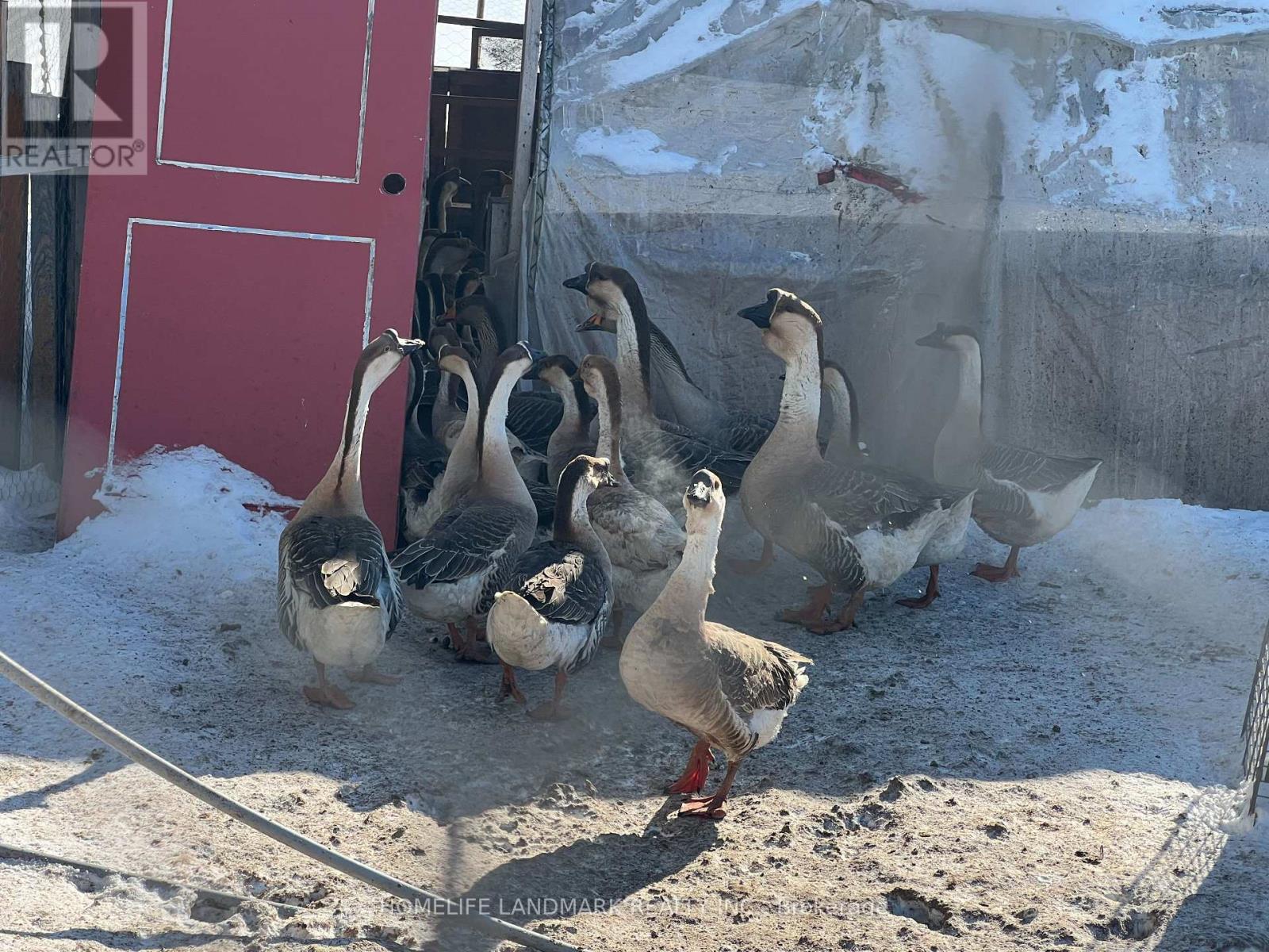 110 Aileen Avenue, King, Ontario  L3Y 4V9 - Photo 25 - N12781950