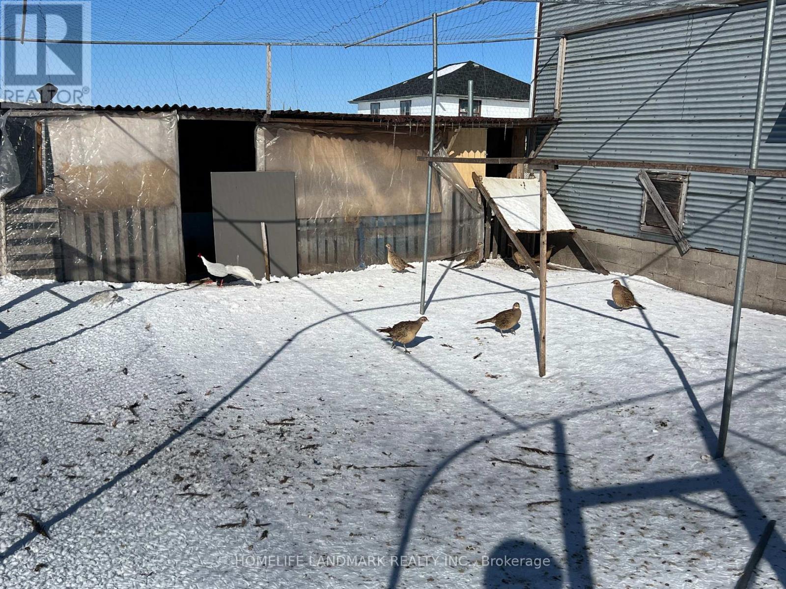 110 Aileen Avenue, King, Ontario  L3Y 4V9 - Photo 26 - N12781950