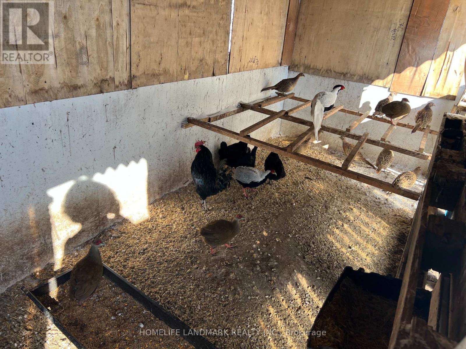 110 Aileen Avenue, King, Ontario  L3Y 4V9 - Photo 27 - N12781950