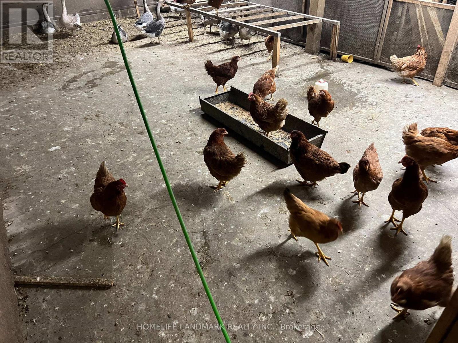 110 Aileen Avenue, King, Ontario  L3Y 4V9 - Photo 28 - N12781950