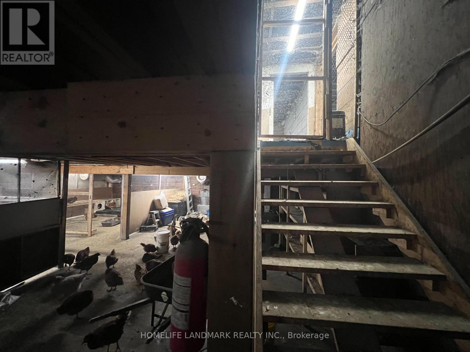 110 Aileen Avenue, King, Ontario  L3Y 4V9 - Photo 30 - N12781950