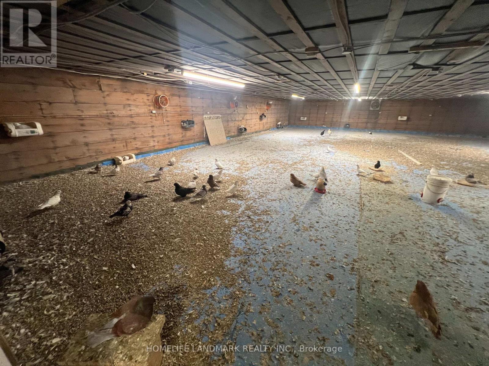 110 Aileen Avenue, King, Ontario  L3Y 4V9 - Photo 31 - N12781950