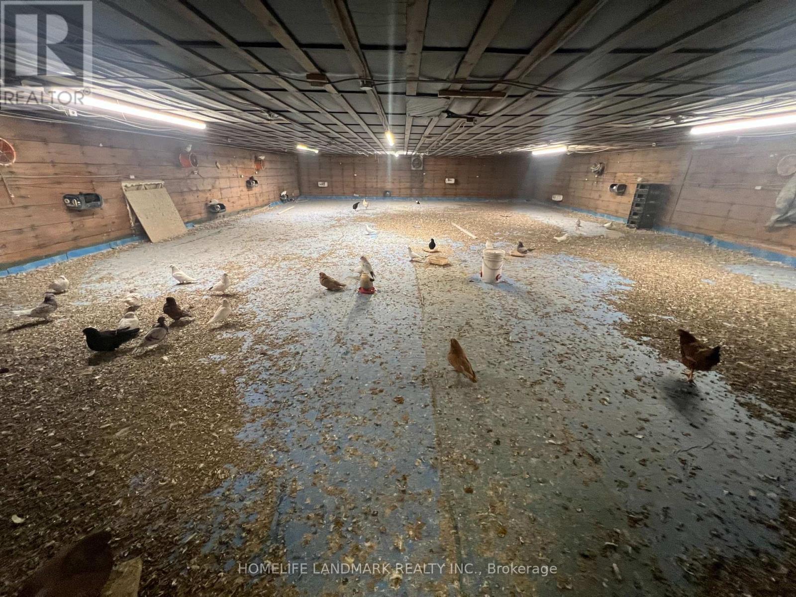 110 Aileen Avenue, King, Ontario  L3Y 4V9 - Photo 32 - N12781950