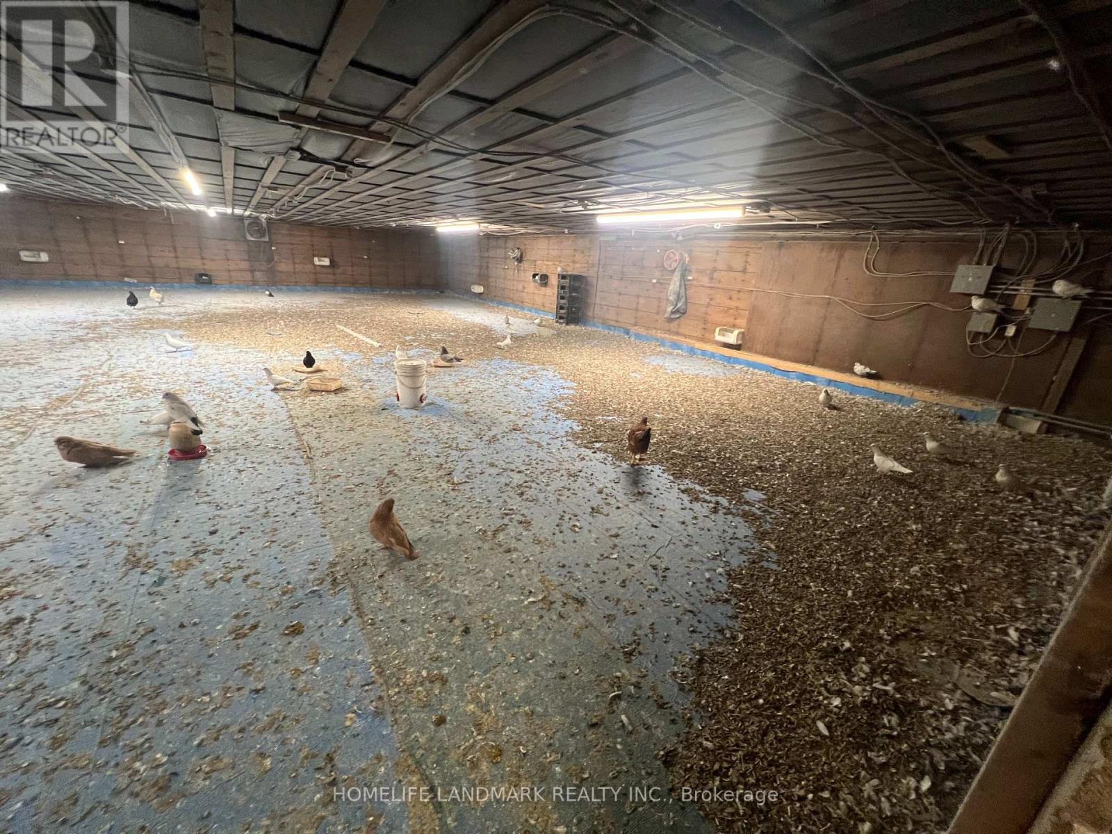 110 Aileen Avenue, King, Ontario  L3Y 4V9 - Photo 33 - N12781950