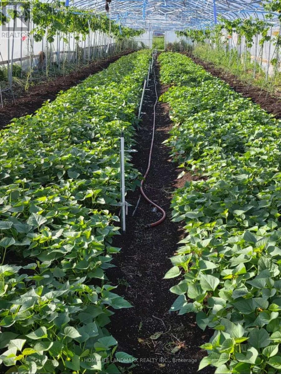 110 Aileen Avenue, King, Ontario  L3Y 4V9 - Photo 40 - N12781950