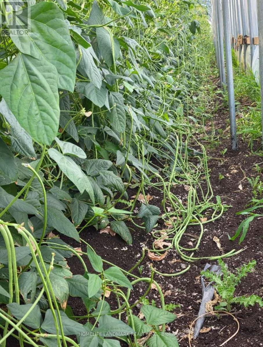 110 Aileen Avenue, King, Ontario  L3Y 4V9 - Photo 41 - N12781950