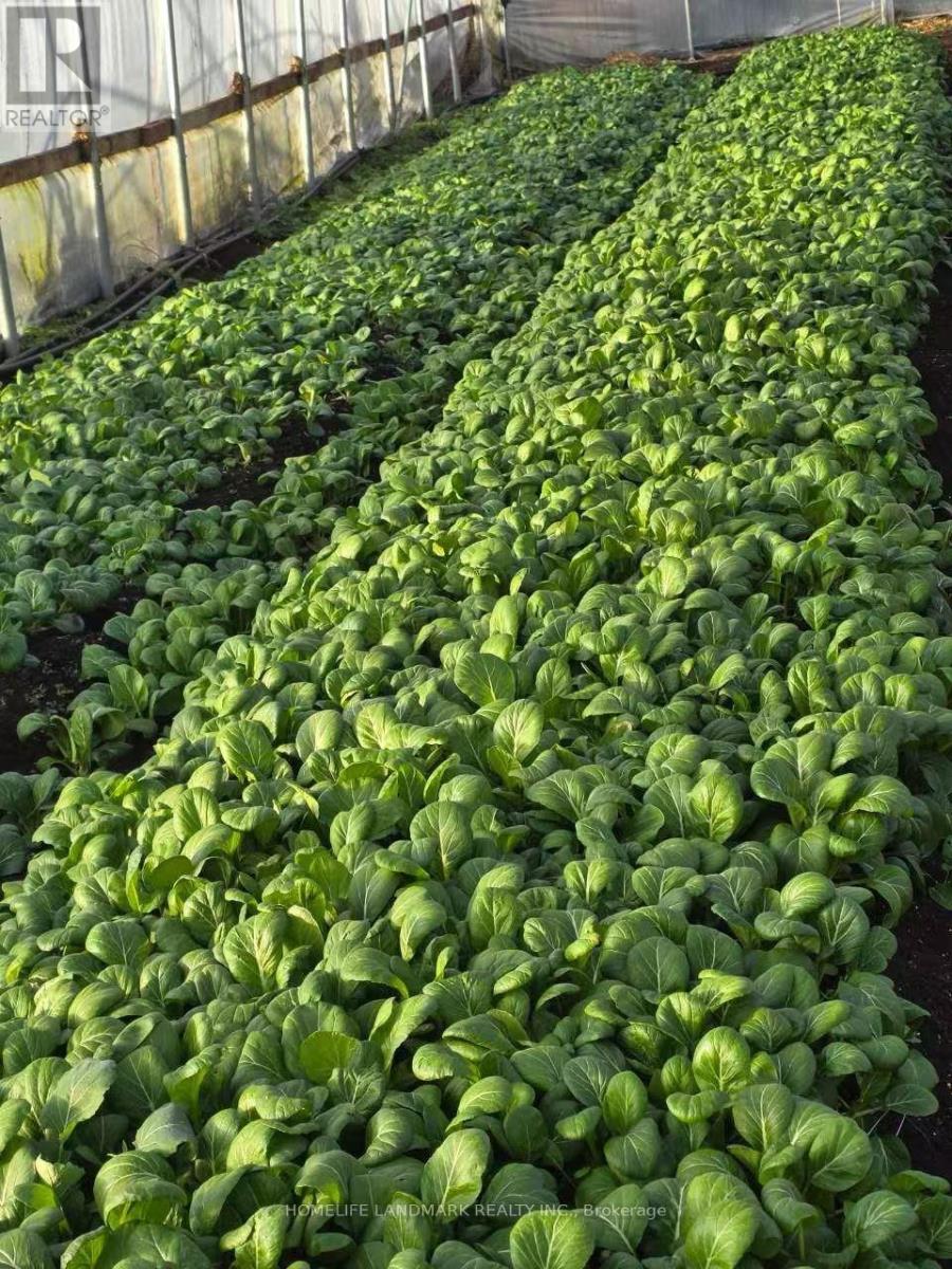 110 Aileen Avenue, King, Ontario  L3Y 4V9 - Photo 42 - N12781950