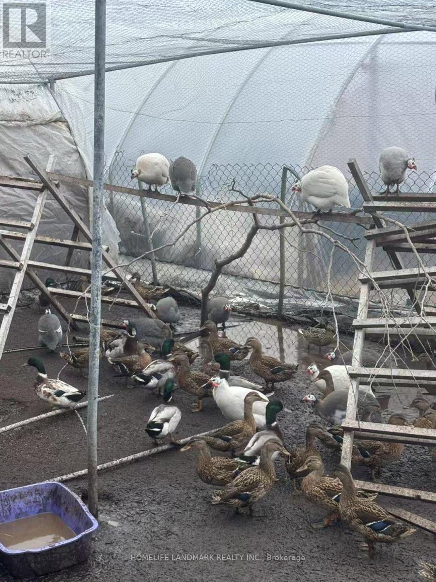 110 Aileen Avenue, King, Ontario  L3Y 4V9 - Photo 44 - N12781950