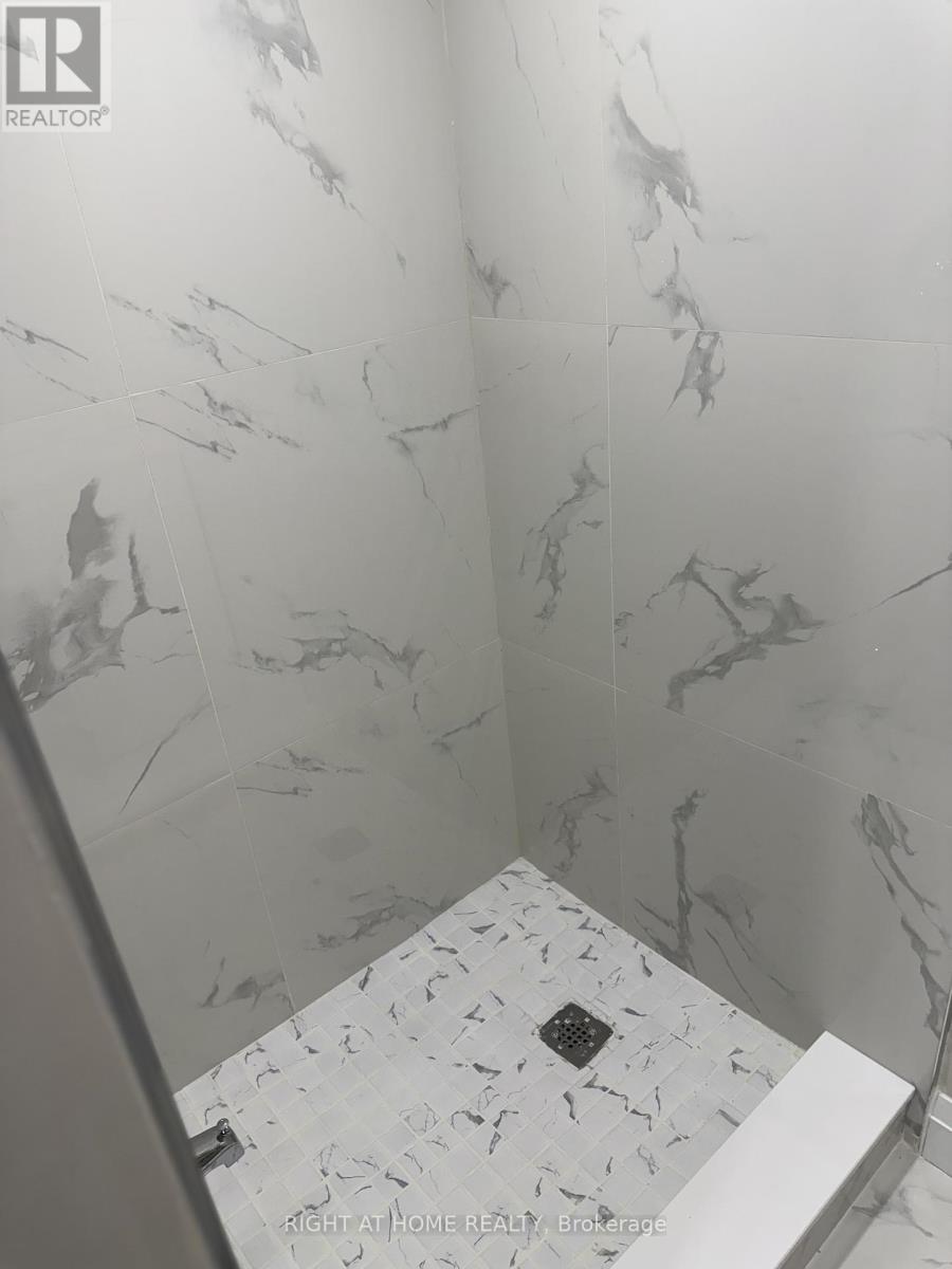 Lower - 80 Chrysler Crescent, Cambridge, Ontario  N3H 5S6 - Photo 14 - X12781934