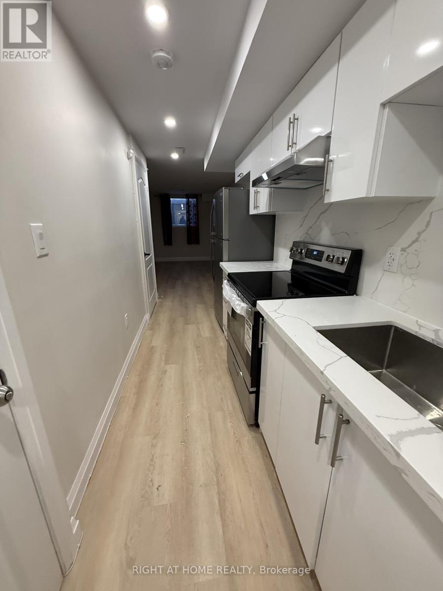 Lower - 80 Chrysler Crescent, Cambridge, Ontario  N3H 5S6 - Photo 16 - X12781934