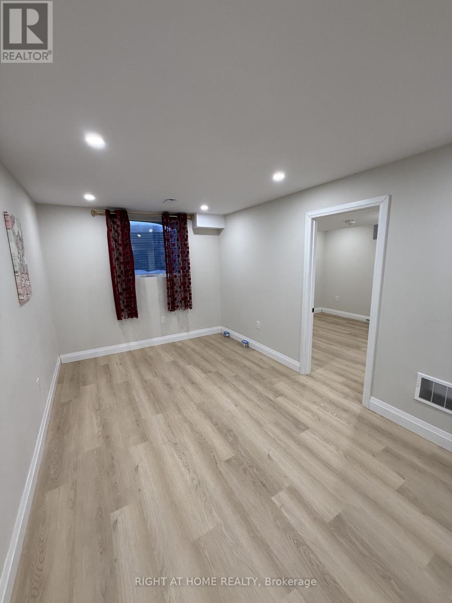 Lower - 80 Chrysler Crescent, Cambridge, Ontario  N3H 5S6 - Photo 4 - X12781934