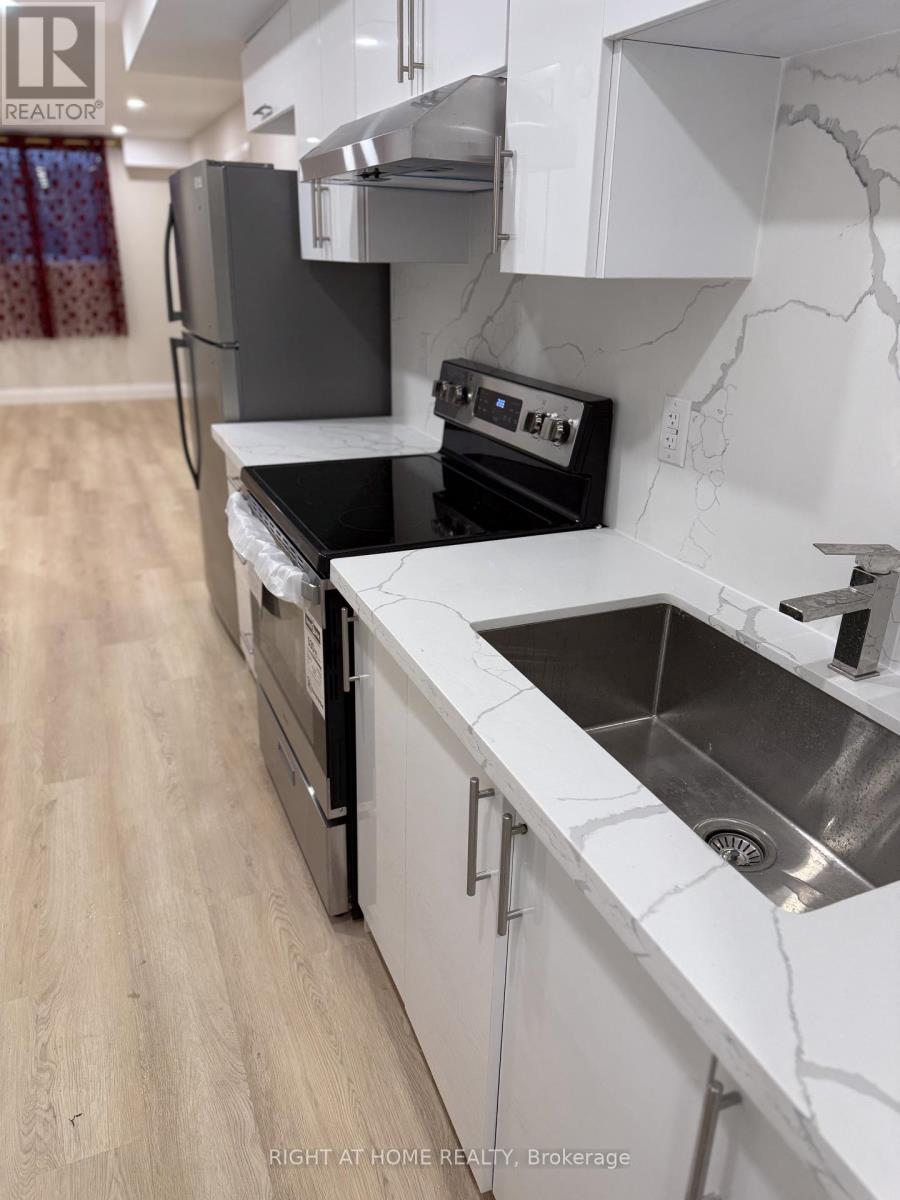 Lower - 80 Chrysler Crescent, Cambridge, Ontario  N3H 5S6 - Photo 7 - X12781934