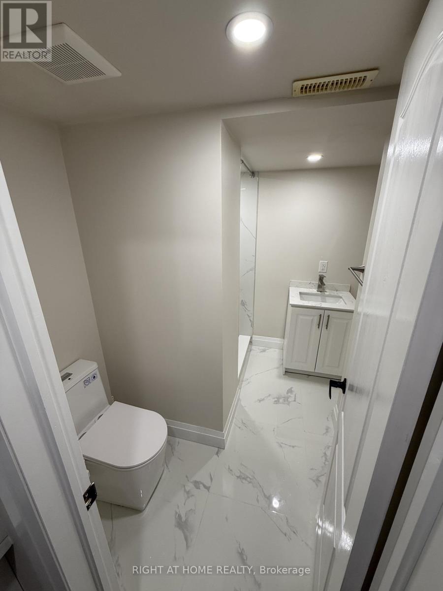 Lower - 80 Chrysler Crescent, Cambridge, Ontario  N3H 5S6 - Photo 9 - X12781934