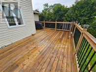 1631 Charbonneau Street, Ottawa, Ontario  K1E 2J6 - Photo 37 - X12782114